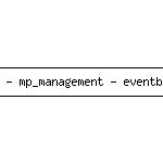 31-03-2008 - mp_management - eventbericht.gif